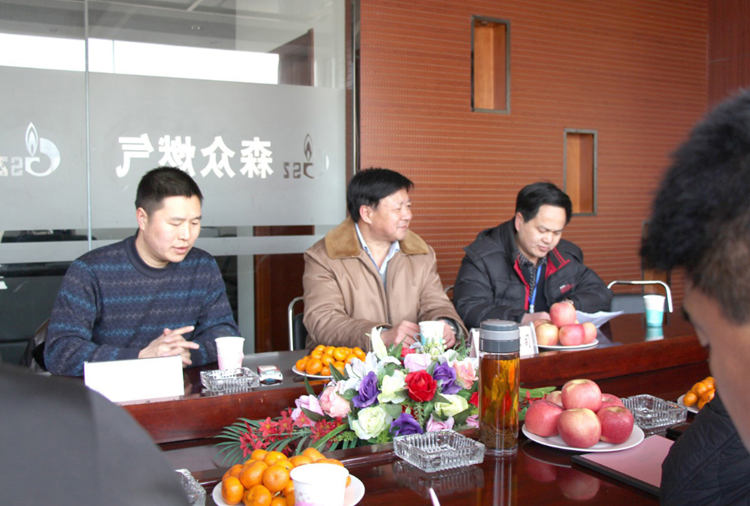 林口县政府与九游官方端平台-九游online(中国)燃气项目洽谈.png